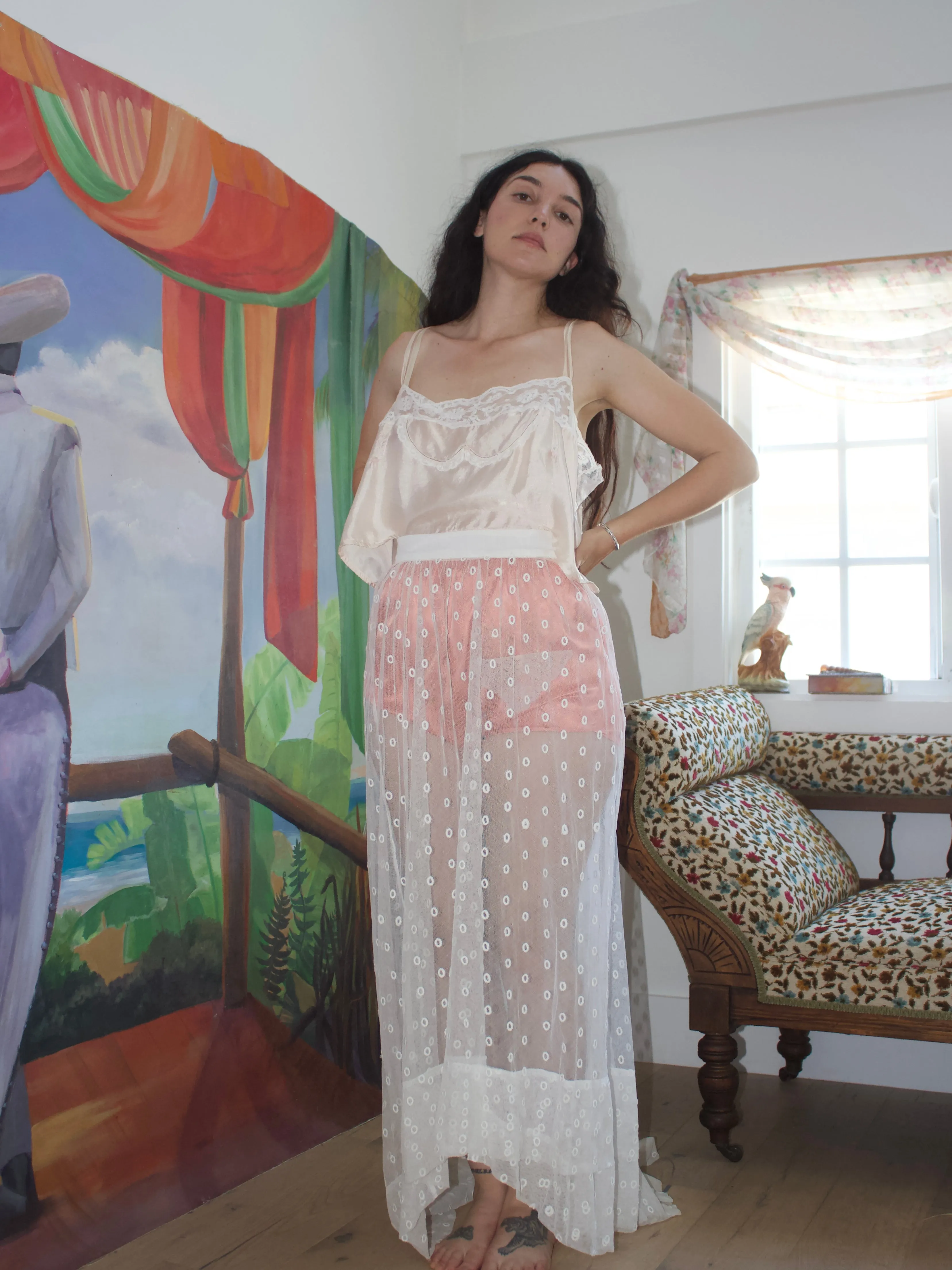 Antique Edwardian Sheer Embroidered Net Trained Skirt