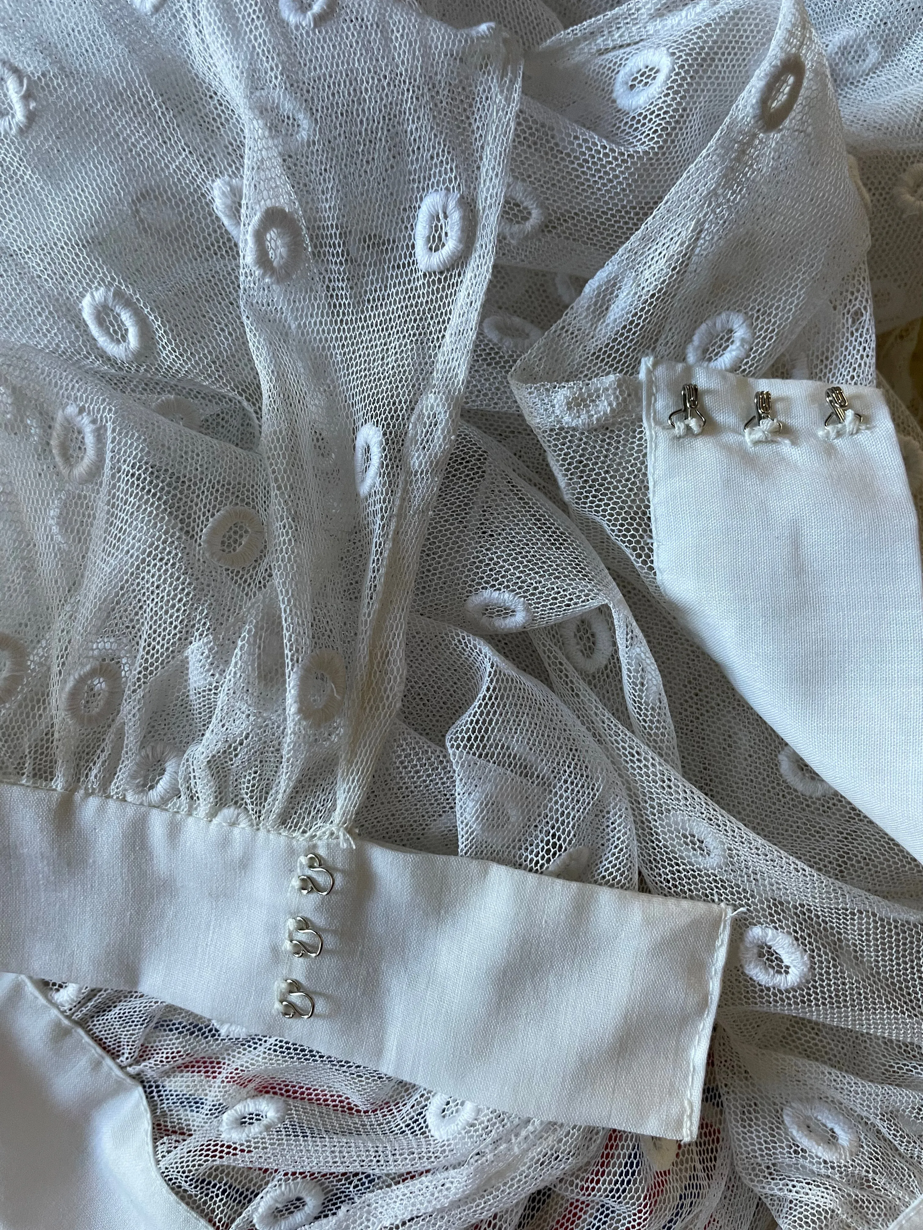 Antique Edwardian Sheer Embroidered Net Trained Skirt