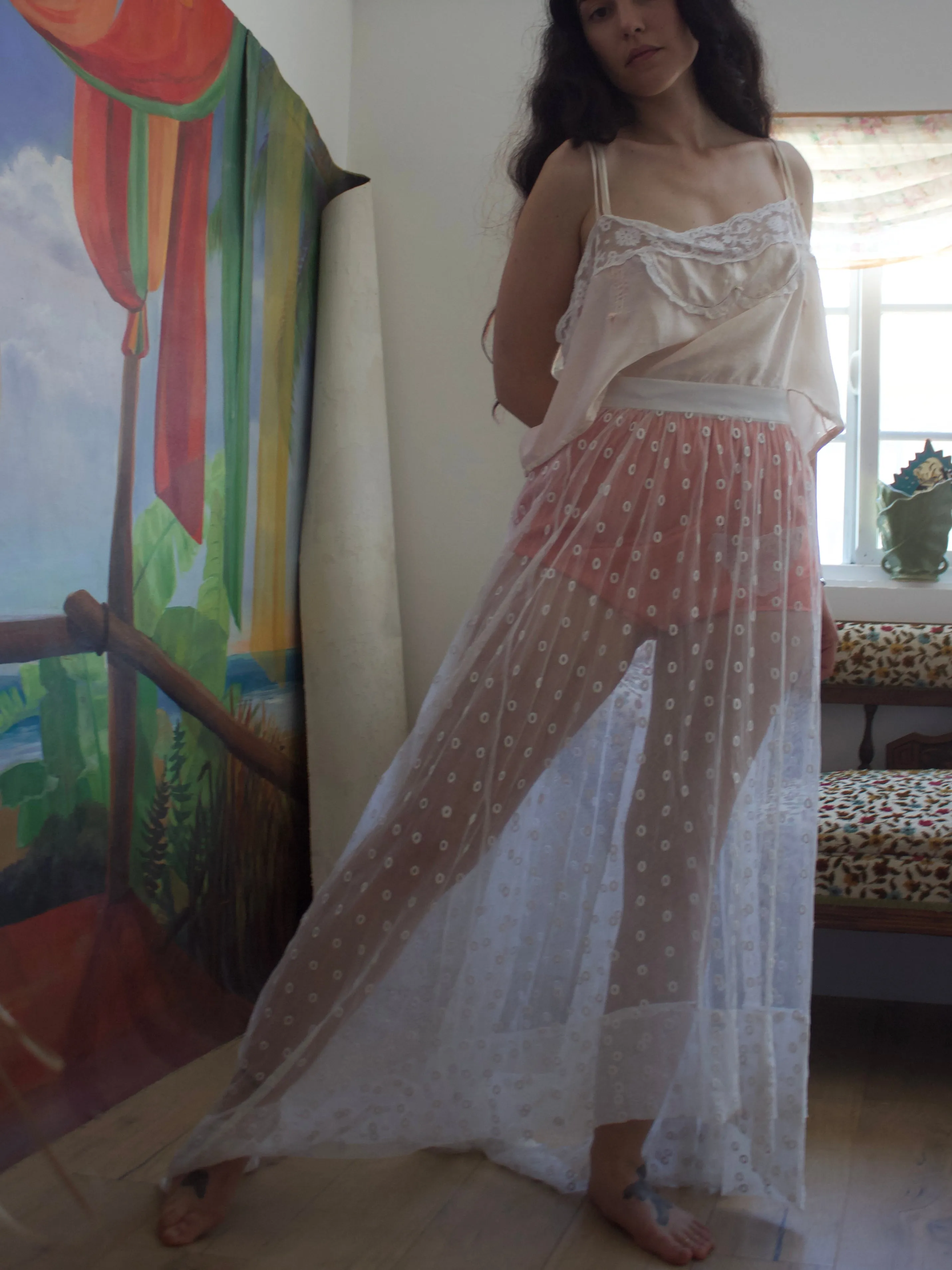 Antique Edwardian Sheer Embroidered Net Trained Skirt