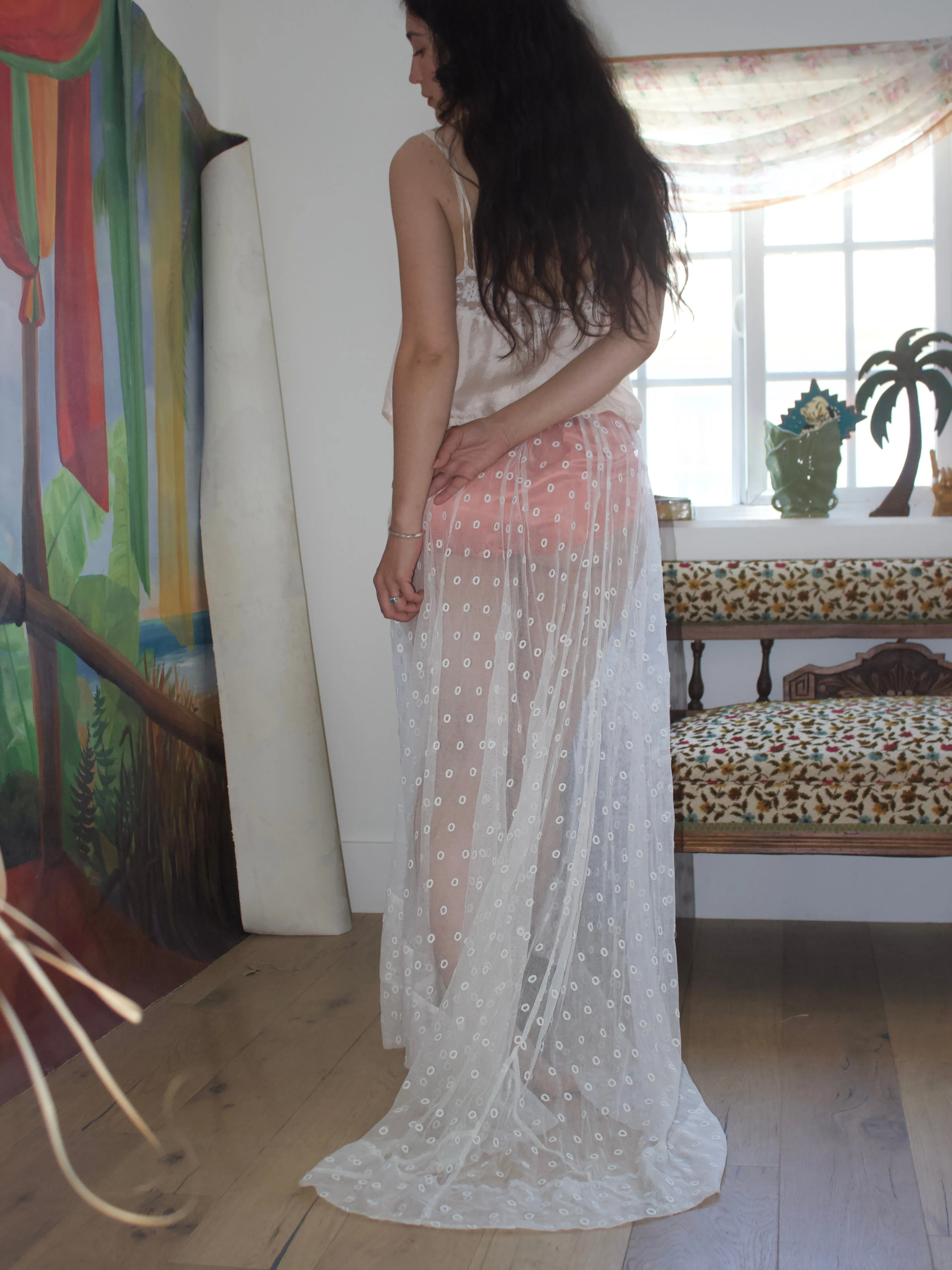 Antique Edwardian Sheer Embroidered Net Trained Skirt